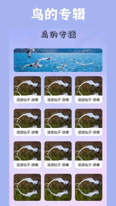 小鸟壁纸APP安卓版