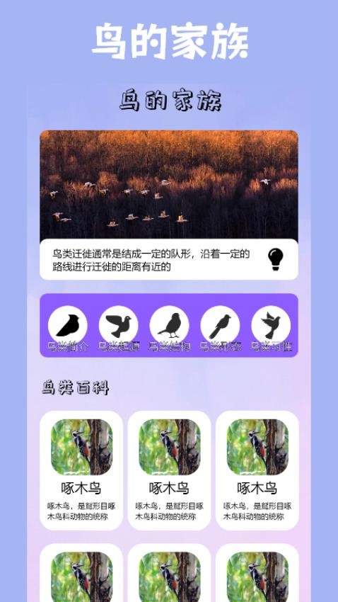小鸟壁纸APP安卓版