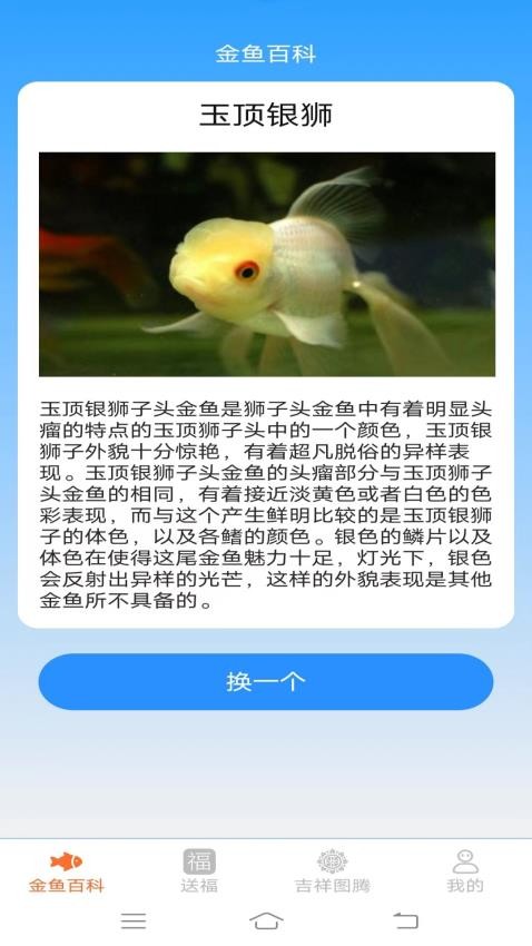 金鱼招福手机版