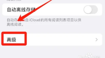safari浏览器中文版