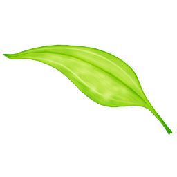 xposed框架中文版