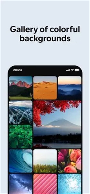 俄罗斯引擎浏览器官方版(Yandex Browser) v19.3.5.299 安卓版图3