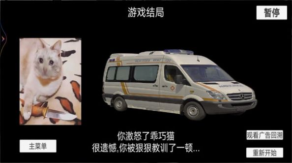 貓貓驚魂夜游戲手機版