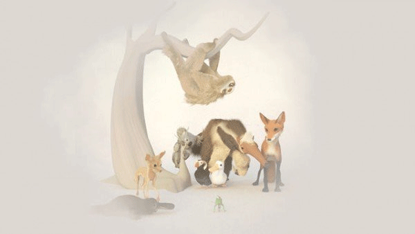 行走的老鯨魚中文版