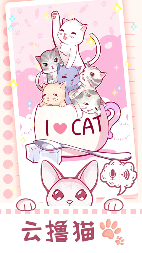 云擼貓咪