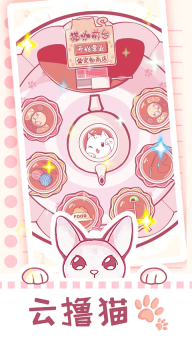 云擼貓咪