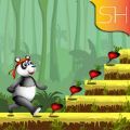 熊貓?zhí)S跑酷游戲手機(jī)版