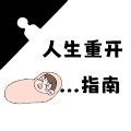 人生重开指南最新版 v1.0
