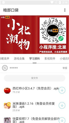 暗部口袋正式版图2