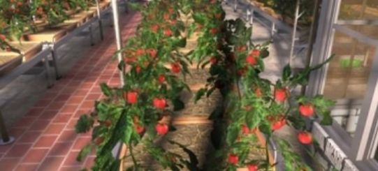 農(nóng)民的追求1.75作弊版