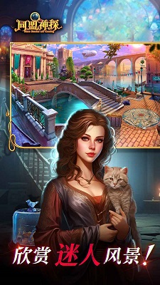 同盟神探手機版