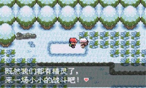 口袋妖怪最強(qiáng)進(jìn)化