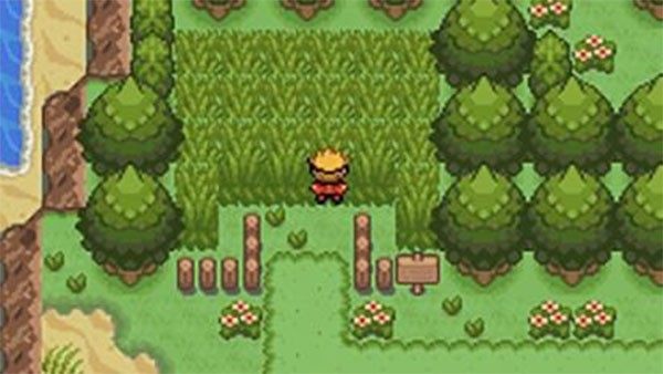 口袋妖怪釉色完美漢化版