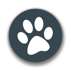 兽音译者官网版