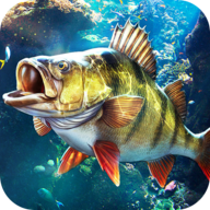 欢乐钓鱼大师2025最新版