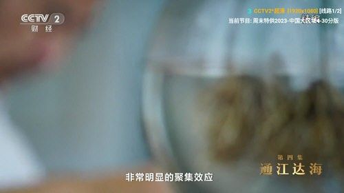v3tv视频最新版app图3