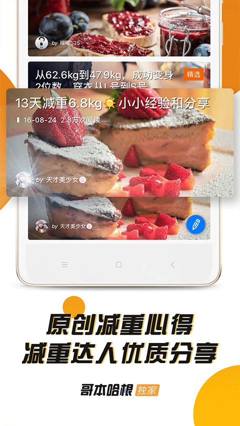 哥本哈根减肥法食谱13天app图4