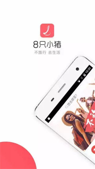 8只小猪app(1)