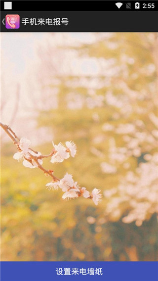 手机来电报号app