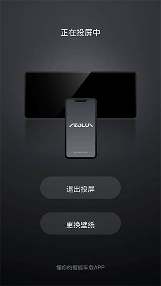 风神车联app图3