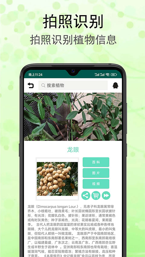 识花草软件图1