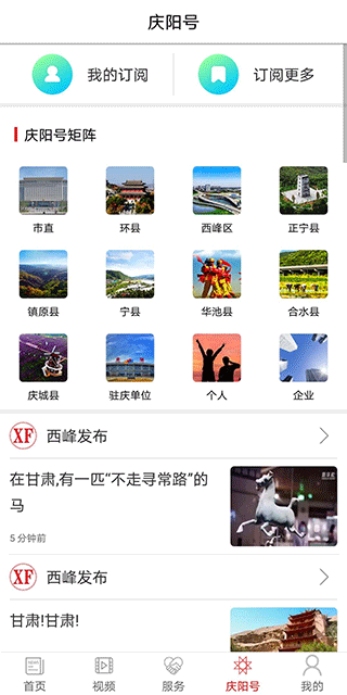掌中庆阳app图4