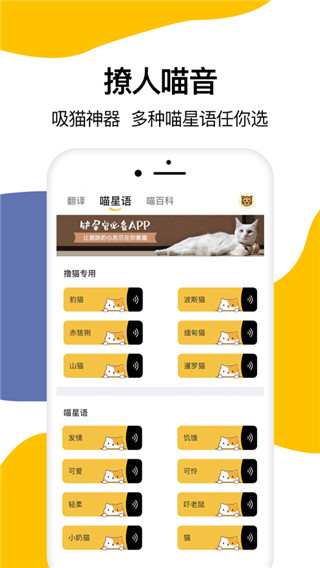 猫语翻译器ios版图2