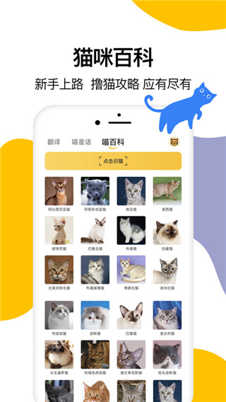 猫语翻译器ios版图3