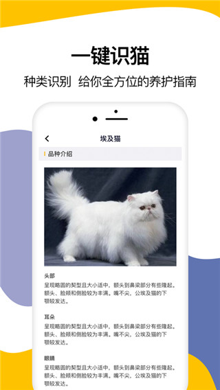 猫语翻译器ios版图4