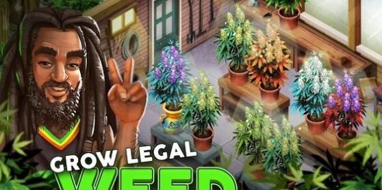 植物大亨手机版图3