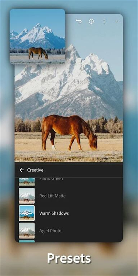 Lightroom高級版圖3