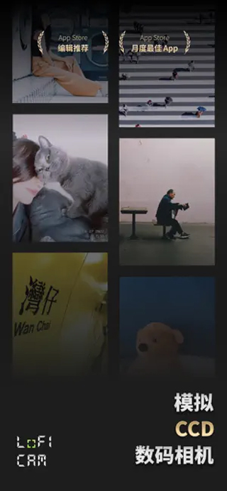 LoFi Cam相機(jī)圖1