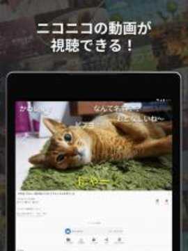 n站图1