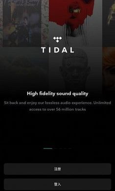 tidal音樂(lè)圖2