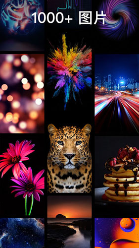 主題壁紙專業(yè)版圖1