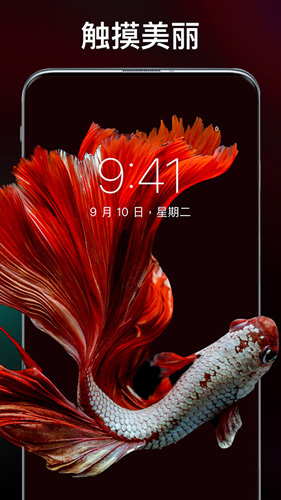 主題壁紙專業(yè)版圖2