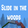 slideinthewoods安装中文版