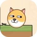 全民烧脑新版蜜蜂蛰狗狗抖音无广告版