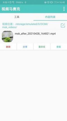 视频马赛克app手机版(1)