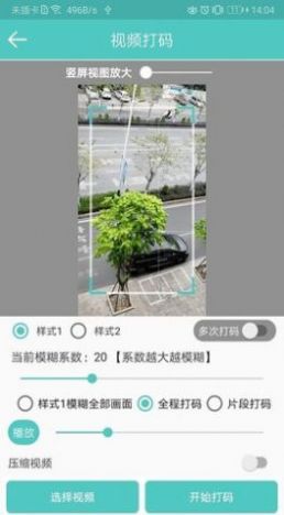 视频马赛克app手机版(3)