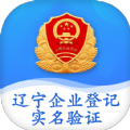 辽宁企业登记实名验证app官方iOS苹果版