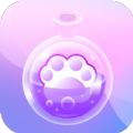 猫爪排序app手机版