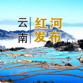 云南红河发布官方平台app