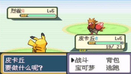 口袋妖怪圣灰汉化版(2)