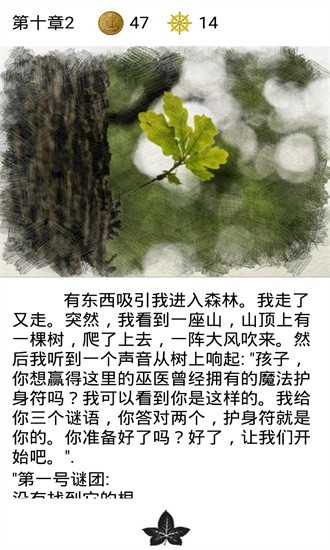 巫师之路(3)