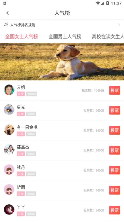 同城相亲app图2