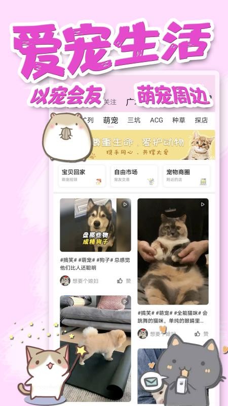 饭团萌APP图2