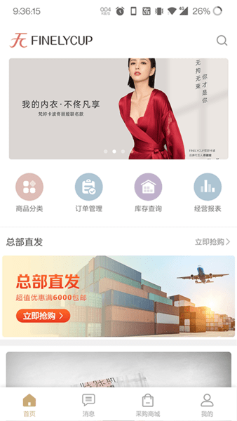 梵妳卡波官方版图3