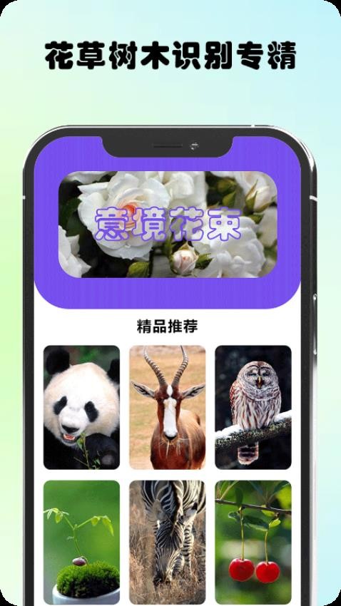 万物识图官方版(2)