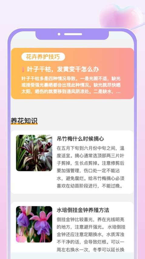花汇趣看官方版图2